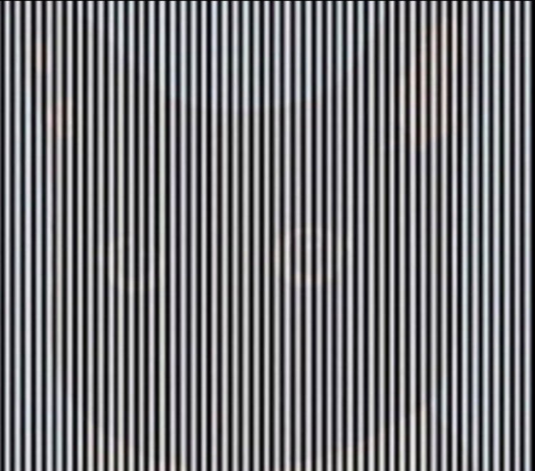 Foto: Reprodução/Twitter