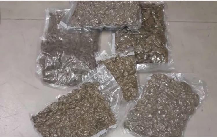 Foto: Divulgação/PF