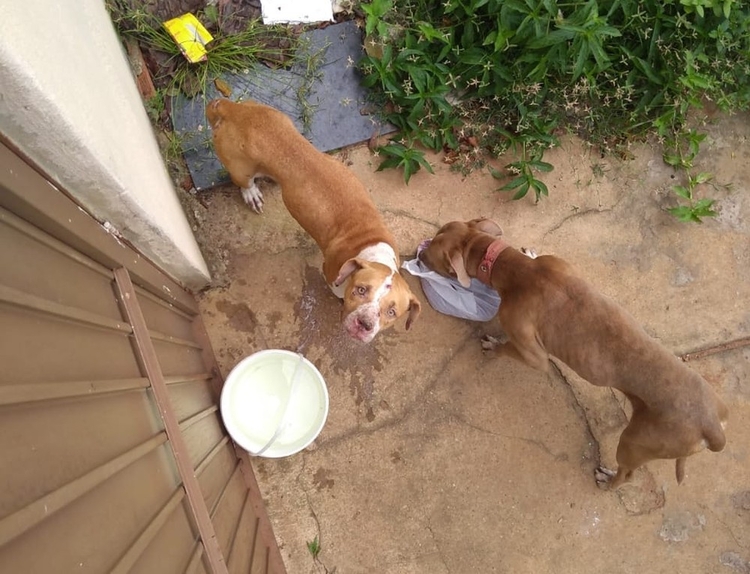Foto: Divulgação/Françoaise Nunes de Andrade