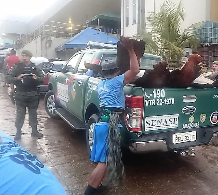 Divulgação Polícia Militar