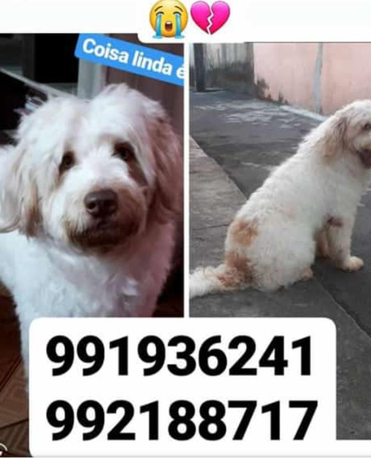 Foto: Arquivo Pessoal 