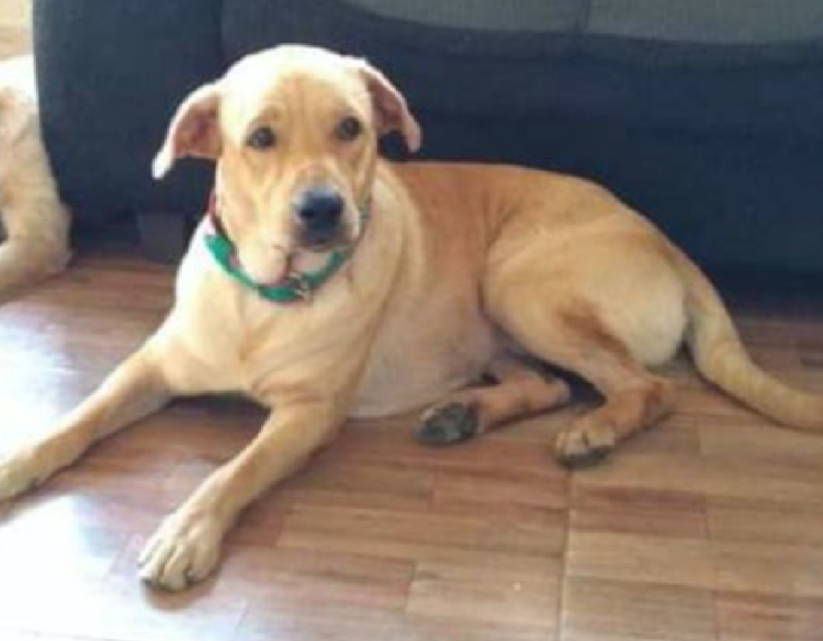 Foto: Arquivo Pessoal 