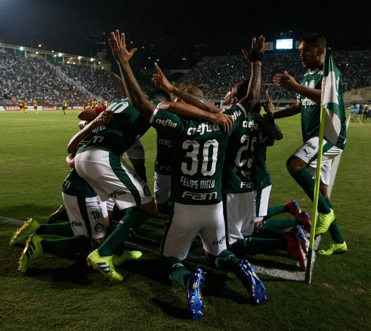 Foto: Reprodução/ Twitter Palmeiras