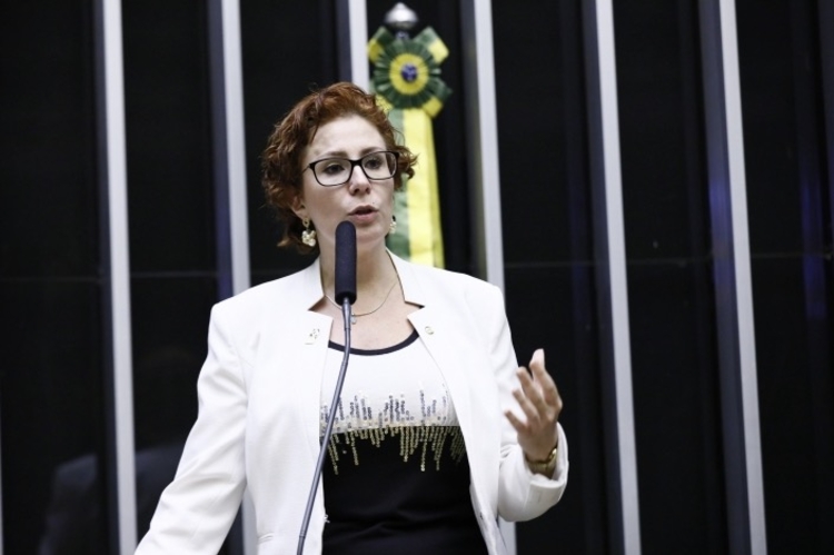 Foto: Luiz Macedo / Câmara dos Deputados 