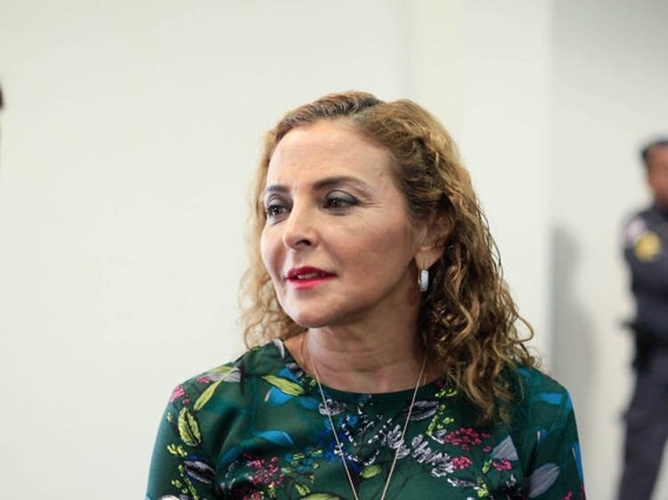 Juíza Mirza Telma coordenará mutirão Foto: Divulgação / TJAM 