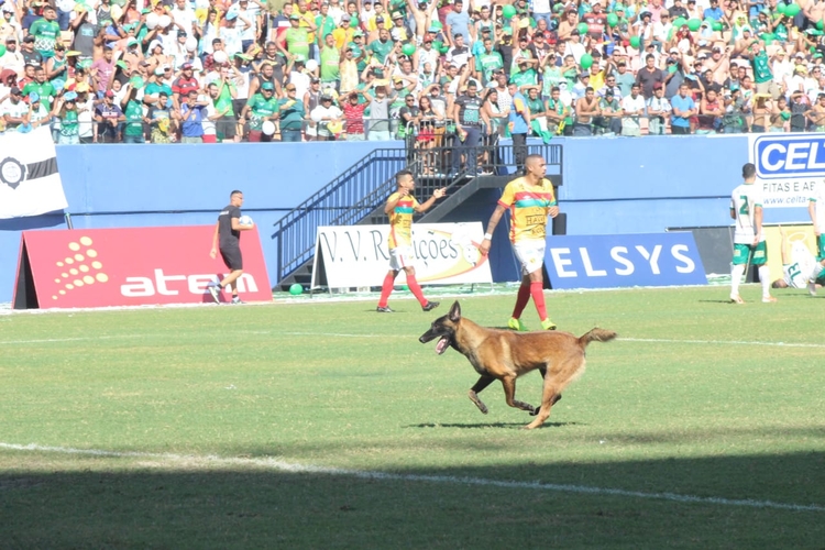 Foto: Josemar Antunes/Portal do Holanda