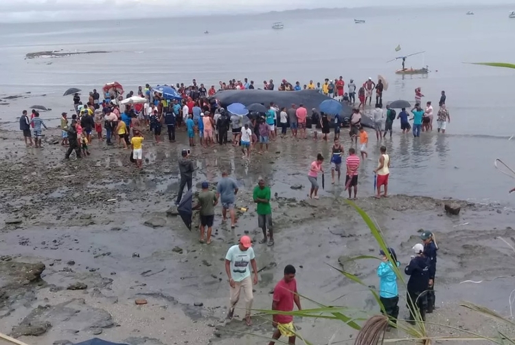 Foto: Reprodução / TV Bahia