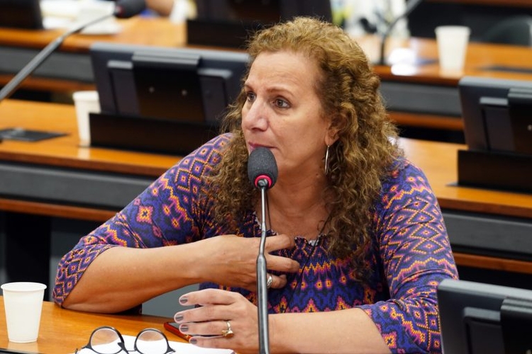 Deputada Jandira Feghali Foto: Pablo Valadares/Câmara dos Deputados