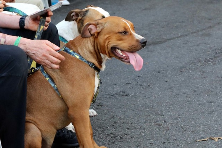 Fotos: Mário Oliveira - SEMCOM