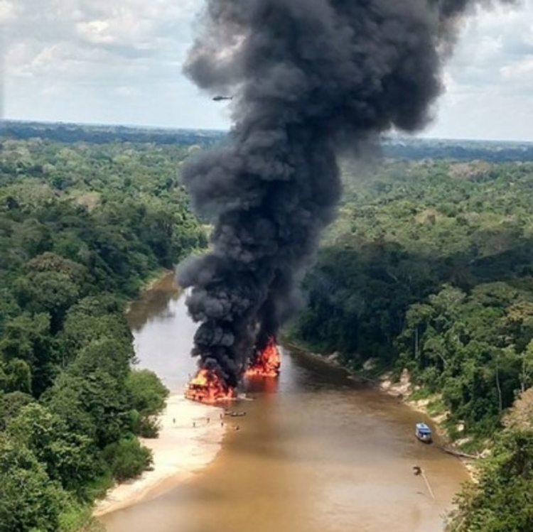 Foto: Divulgação / PF/ Ibama