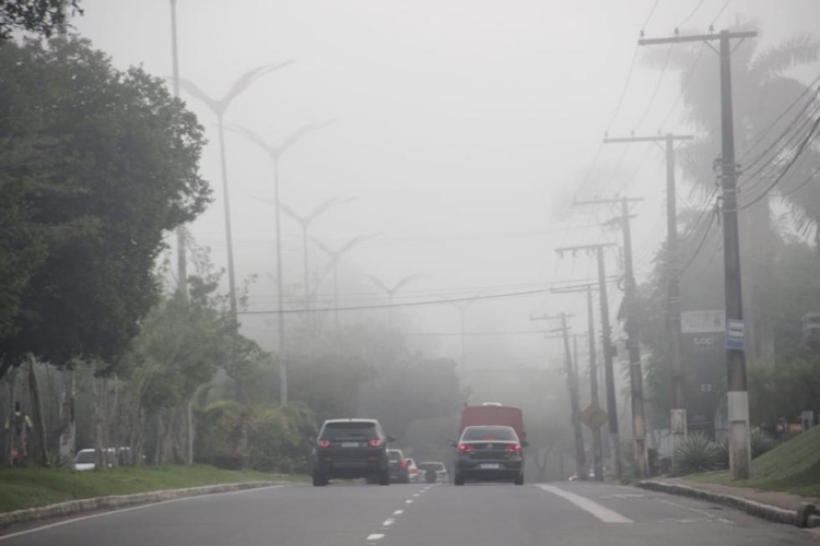 Foto: Portal do Holanda