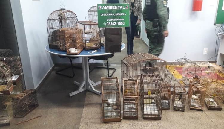 Foto: Portal do Holanda / Caio Guarlotte