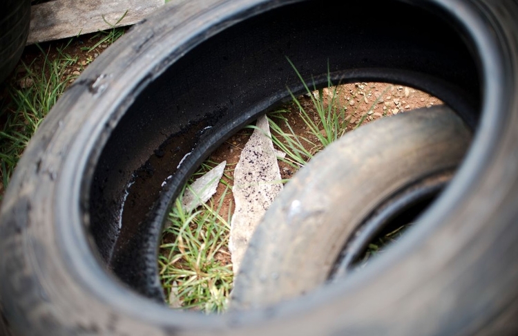 Foto: Marcelo Camargo/Agência Brasil 