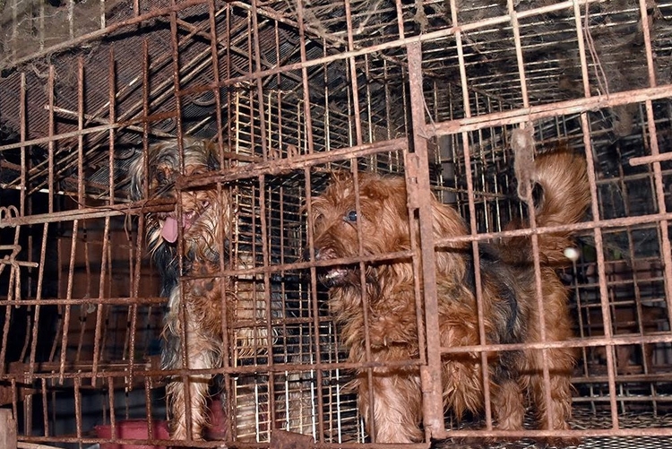 Foto: Erlon Rodrigues / PC-AM