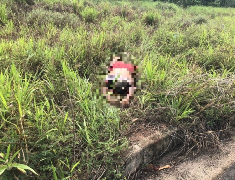 Foto: Altemir Coelho/Portal do Holanda