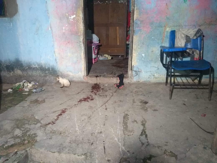 Foto: Caio Guarlotte /  Portal do Holanda