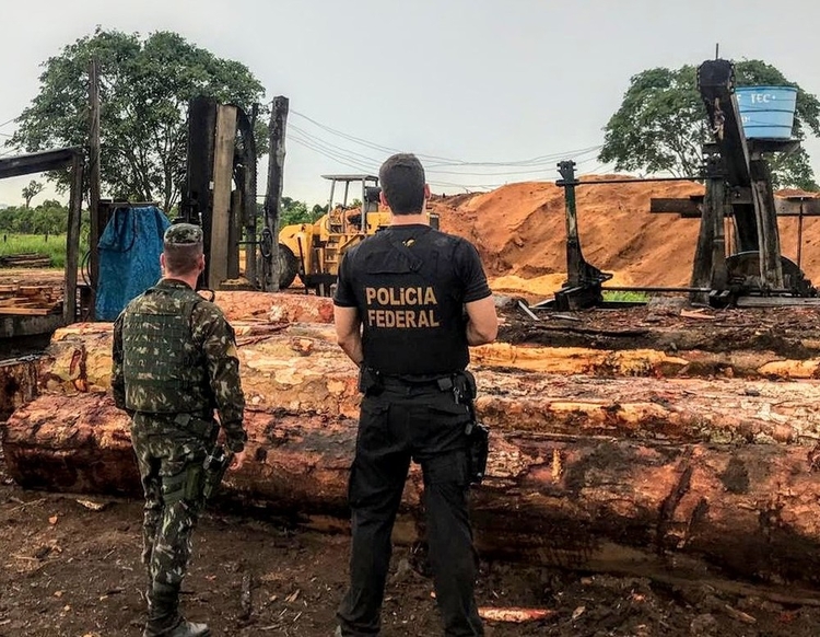 Foto: Polícia Federal de Mato Grosso/Assessoria