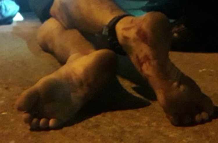 Foto: Josemar Antunes  / Portal do Holanda