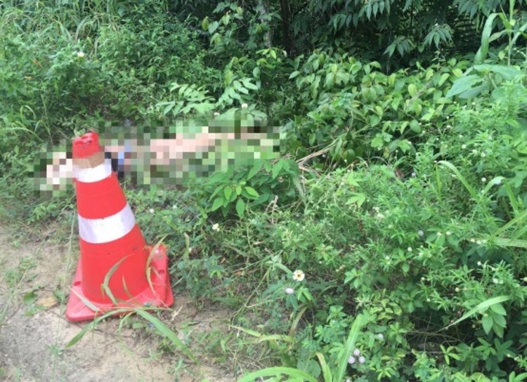 Foto: Caio Guarlotte/Portal do Holanda