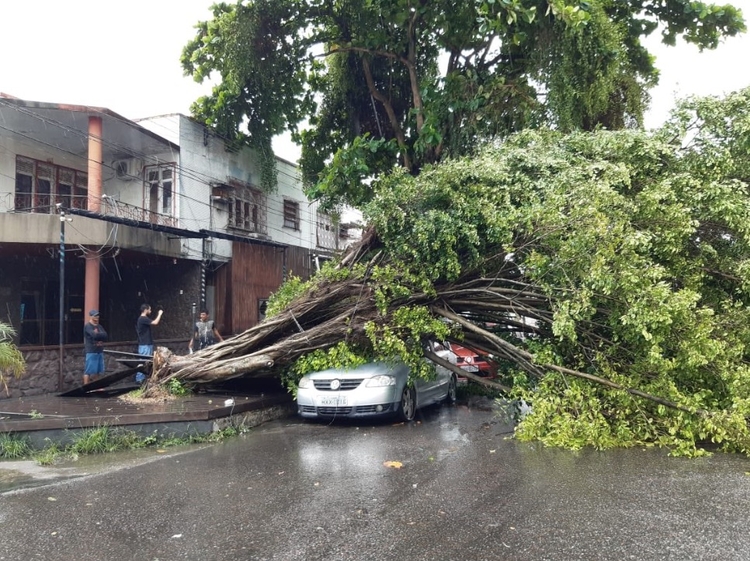 Foto: Reprodução/Twitter TrânsitoManaus 
