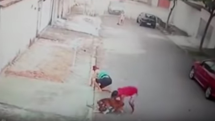 Foto: Reprodução / Redes Sociais