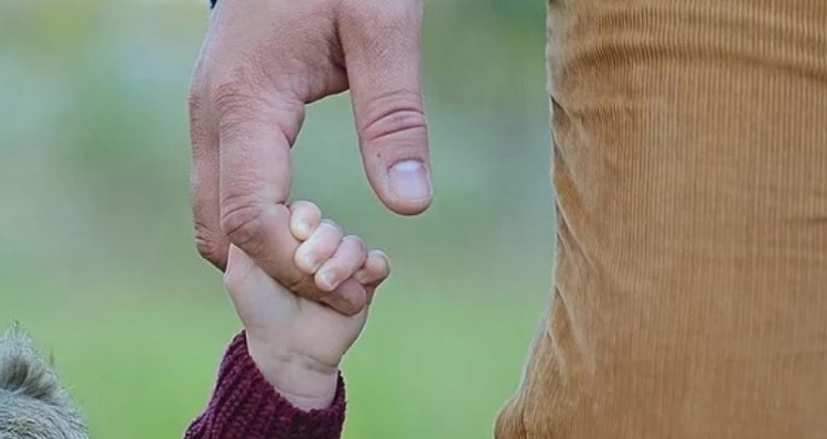 Foto: Reprodução Pixabay