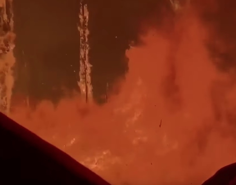 Foto: Reprodução / reportagem BBC