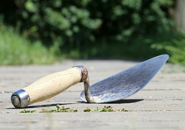 Foto: Reprodução / Pixabay