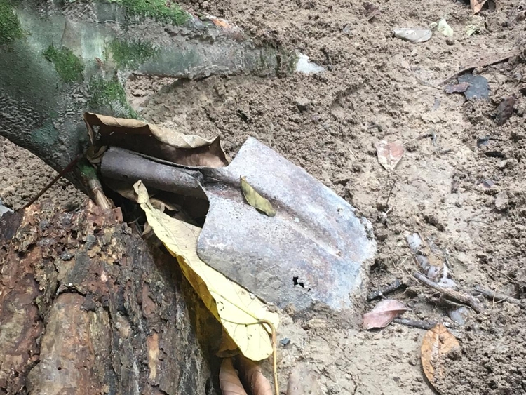 Foto: Caio Gualortte / Portal do Holanda