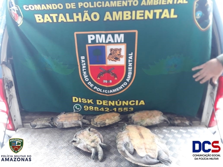 Divulgação Polícia Militar