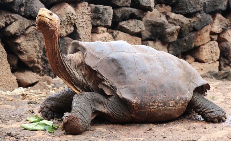 Foto: Galapagos National Park