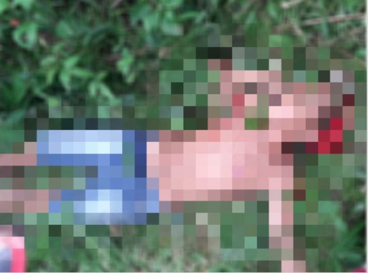 Divulgação Polícia Militar