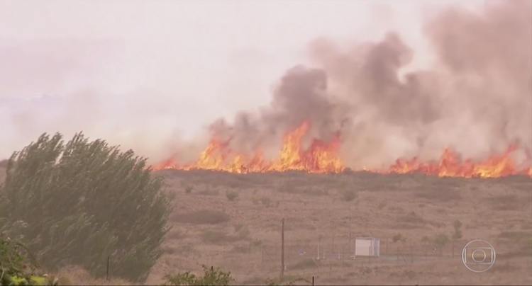 Foto: Reprodução/TV Globo
