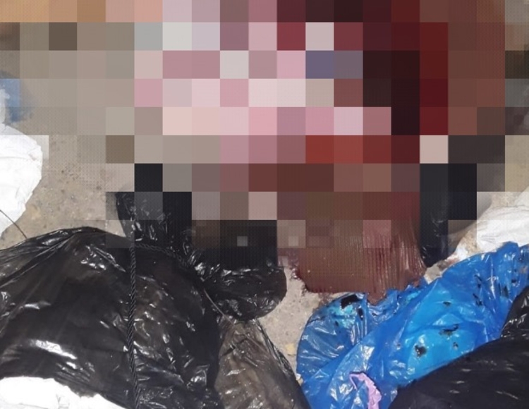 Foto: Divulgação / PM