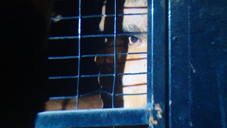 Foto: Caio Guarlotte / Portal do Holanda