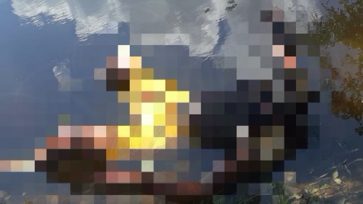 Divulgação Polícia Militar