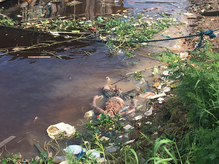 Fotos: Caio Guarlotte/Portal do Holanda