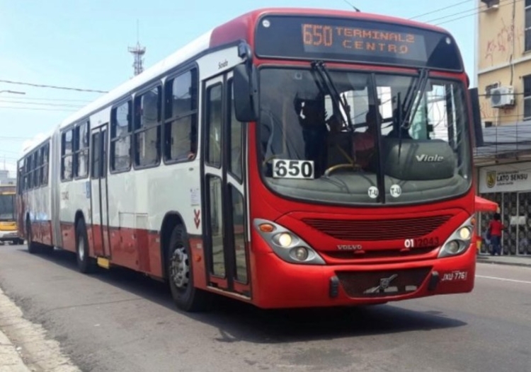 Foto: Reprodução / Onibus Manaus