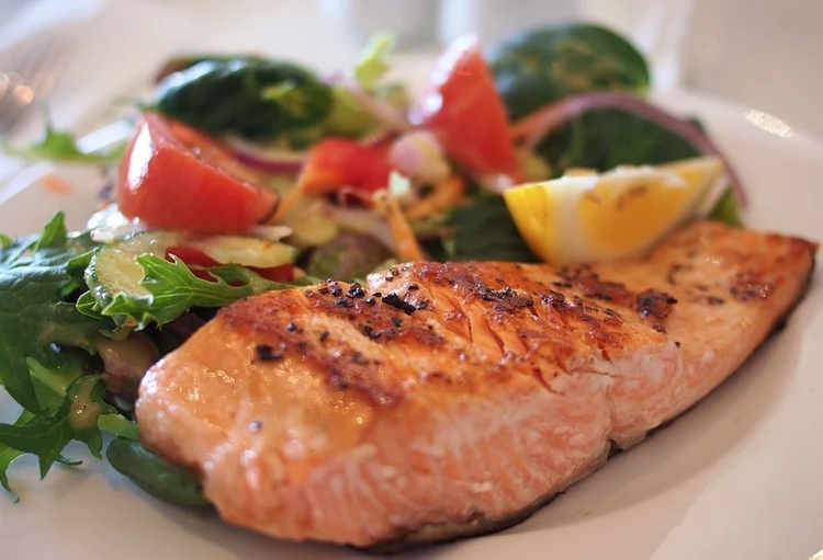 Foto: Reprodução / Pixabay