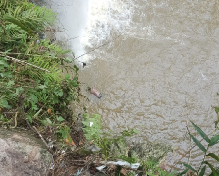 Foto: Altemir Coelho/Portal do Holanda