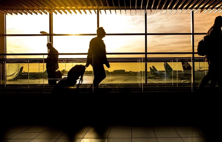 Foto: Reprodução / Pixabay