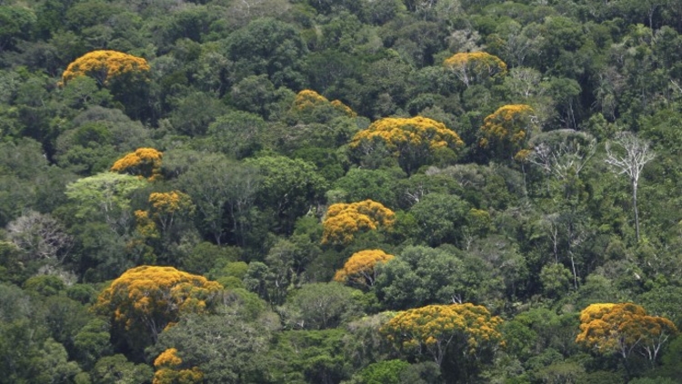 Foto: Ricardo Oliveira