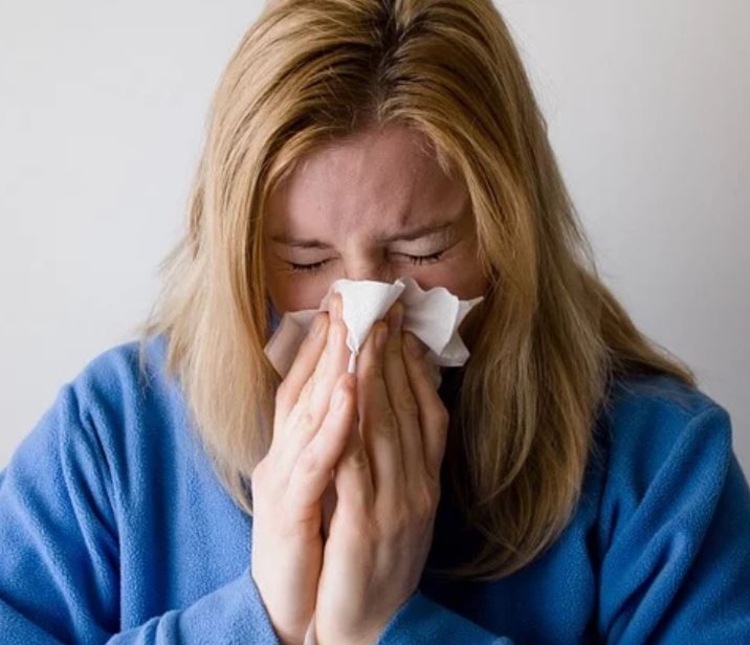 Foto: Reprodução / Pixabay