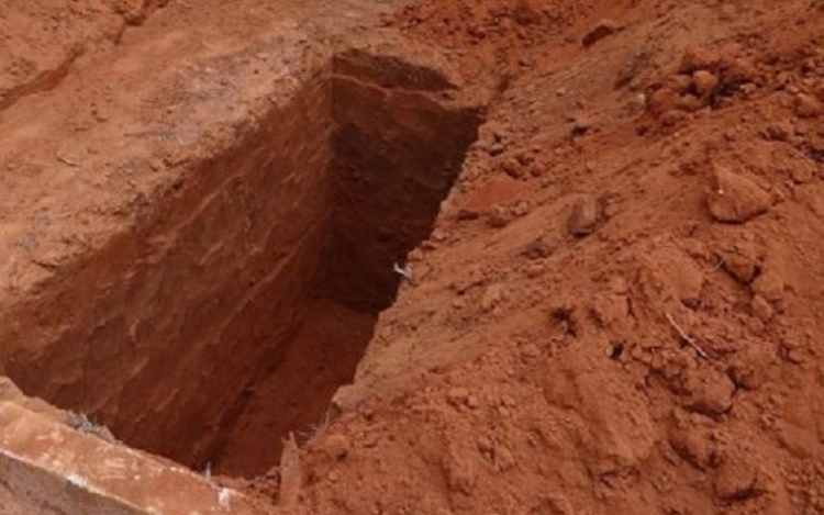 Foto: Reprodução /  Internet