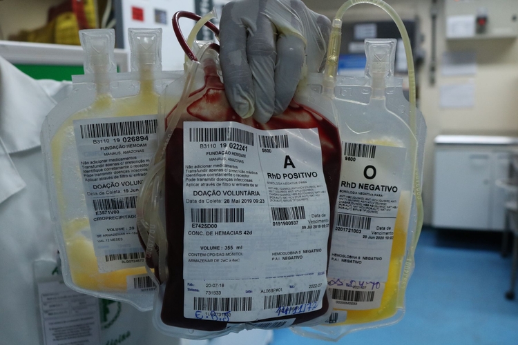 Foto: Divulgação/Hemoam