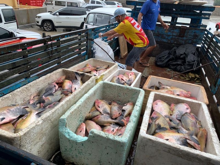 Peixe veio de viveiros em Rio Preto da Eva - Foto: Divulgação/FPS
