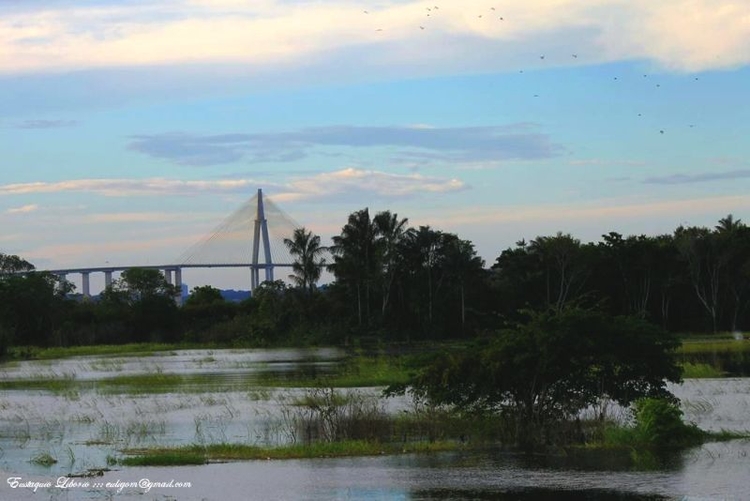 Trânsito está limitado na ponte  sobre o rio Negro - Foto: Eustáquio Libório/Portal do Holanda