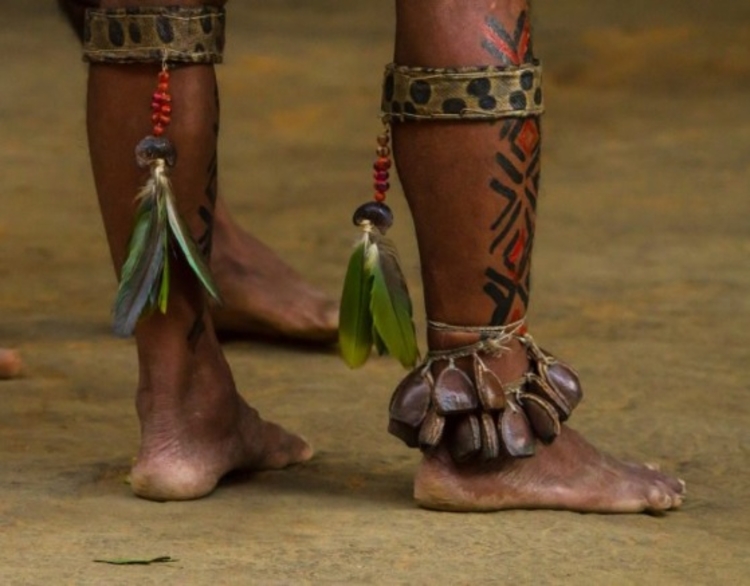 Foto: Hans Denis Schneider / Reprodução