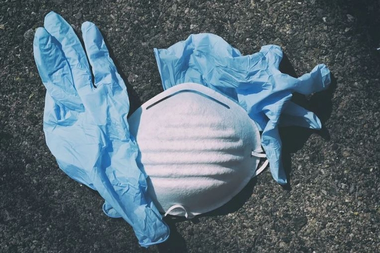 Foto: Reprodução / Pixabay