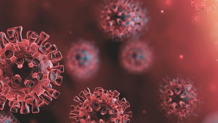 Subnotificação acontece em todo o Brasil - Foto:Divulgação